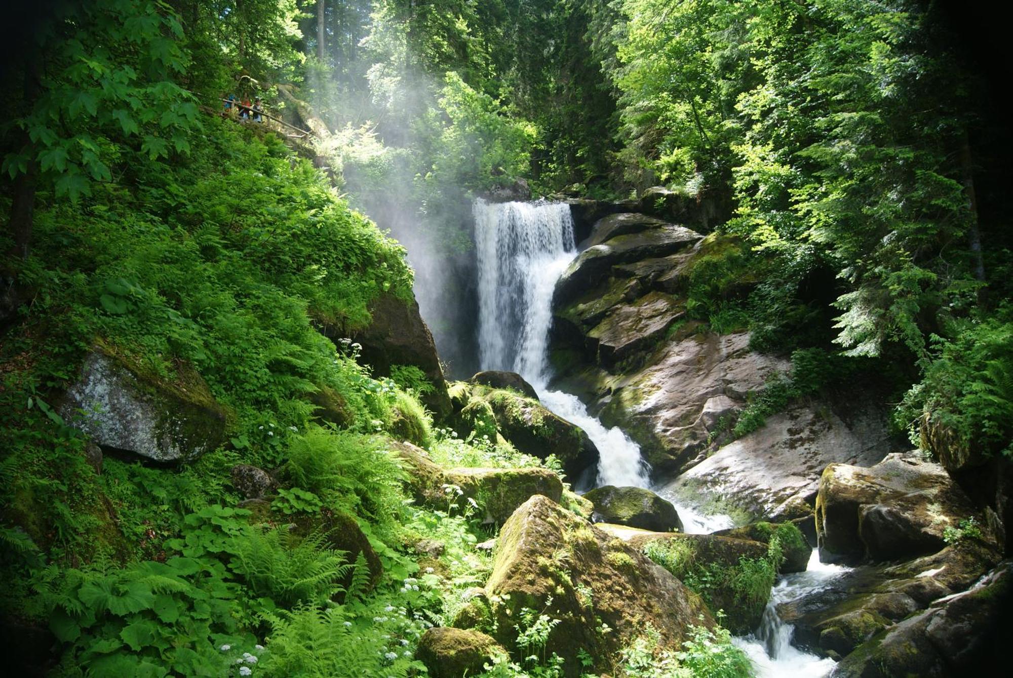 Rita - Atemberaubenden Wasserfaelle Triberg im Schwarzwald Eksteriør bilde